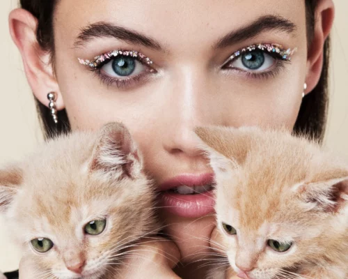 Zmaluj kocie oko! Jak prawidłowo zrobić cat eye?