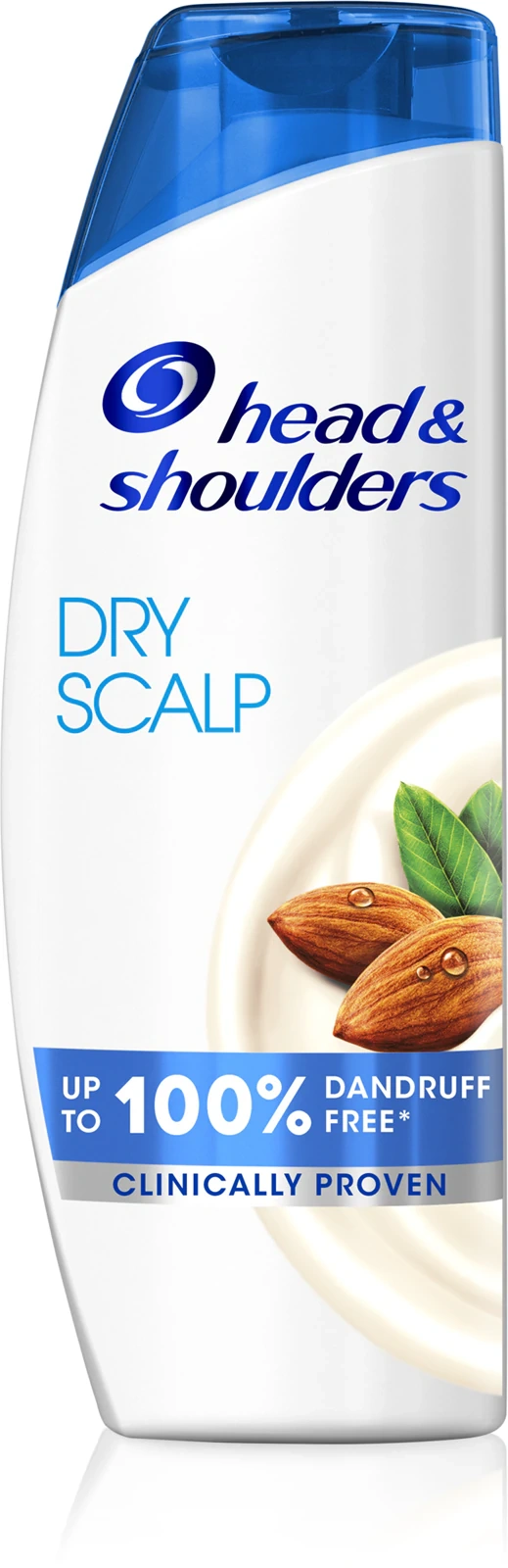 szampon Head & Shoulders do suchego skalpu z łupieżem